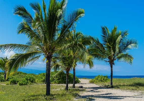 Beach landscape sea coast Photo