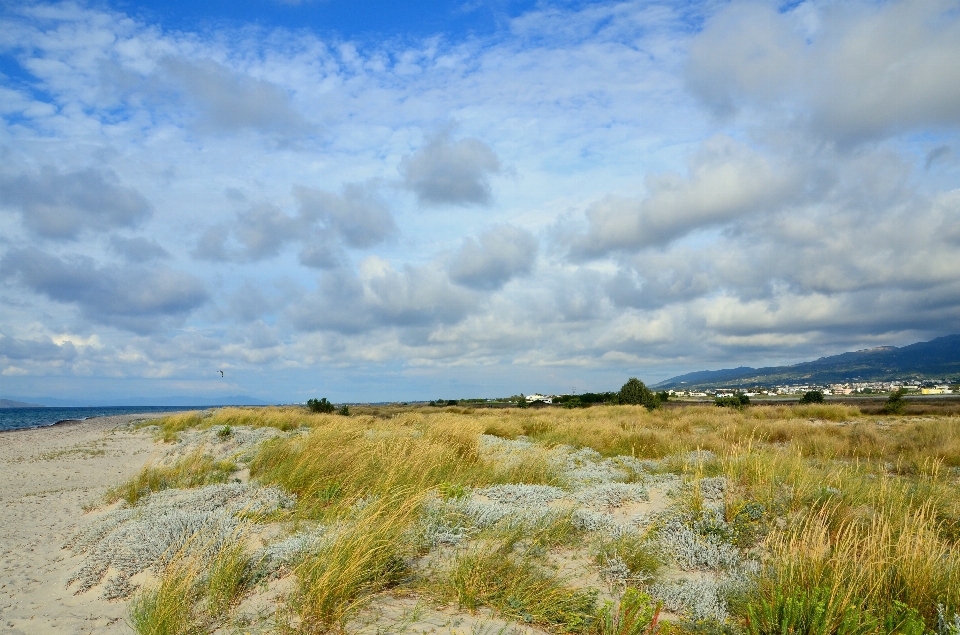 Paysage mer côte nature