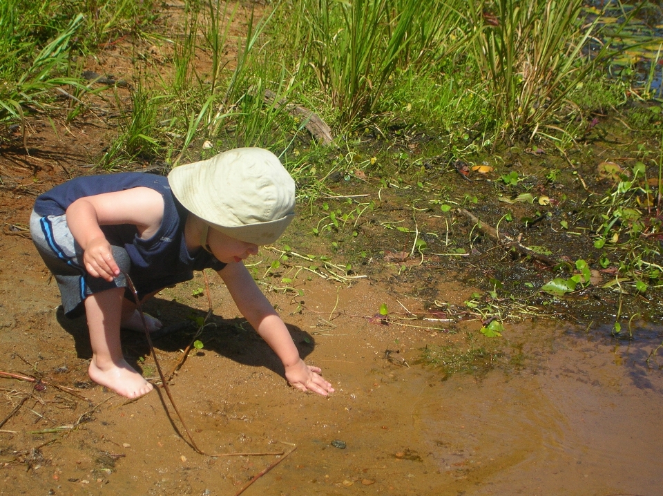 Agua naturaleza césped jugar