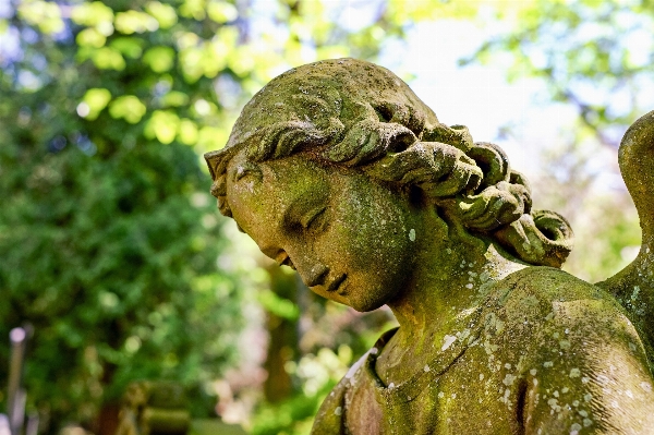 Leaf flower stone monument Photo