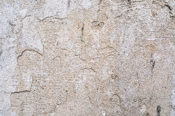 Rock structure wood white Photo