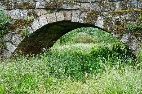 Landscape nature grass bridge Photo