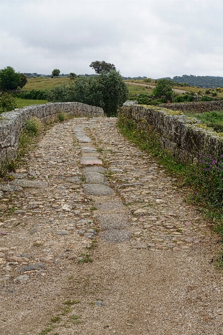 Caminho grama estrutura estrada