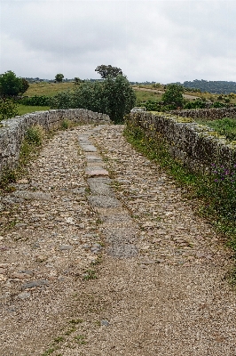 Pathway grass structure road Photo