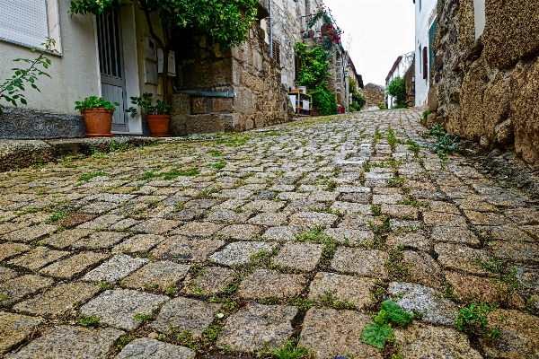 Grass rock road street Photo