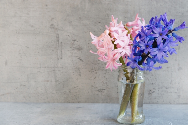 Plant flower glass vase Photo