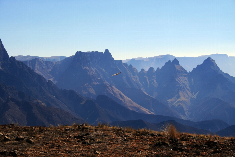 Paesaggio erba natura selvaggia
 a piedi