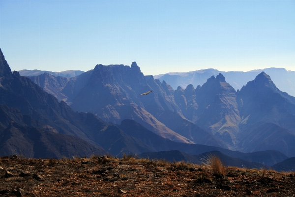 Foto Paisaje césped desierto
 caminando