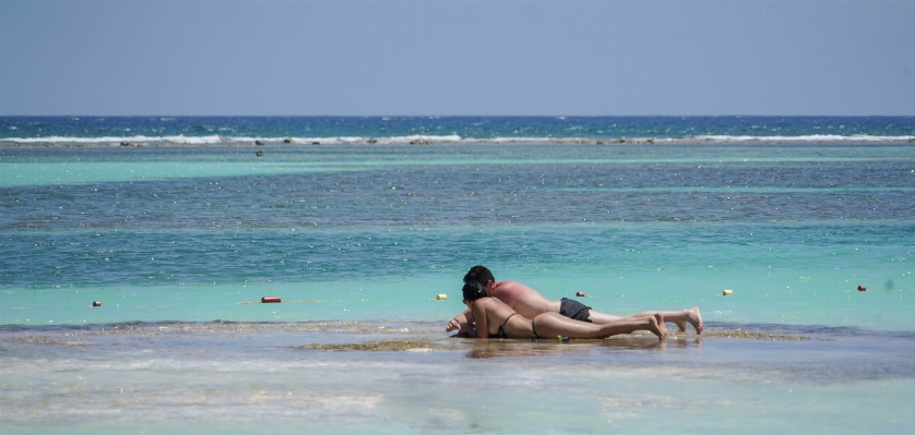 Beach sea coast sand Photo