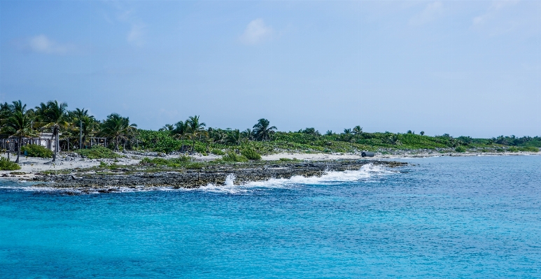 Beach sea coast water Photo