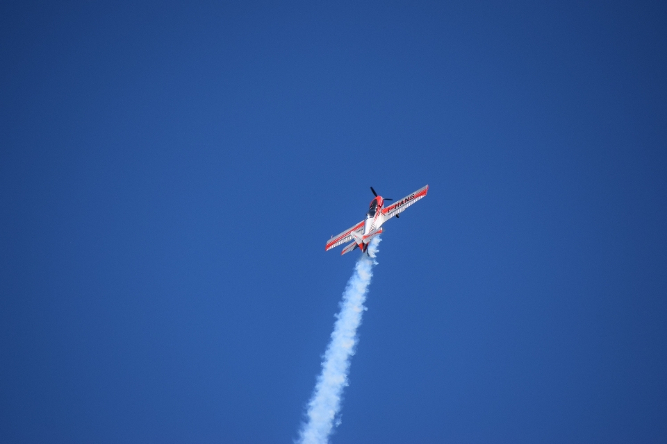 Ala cielo aria volare