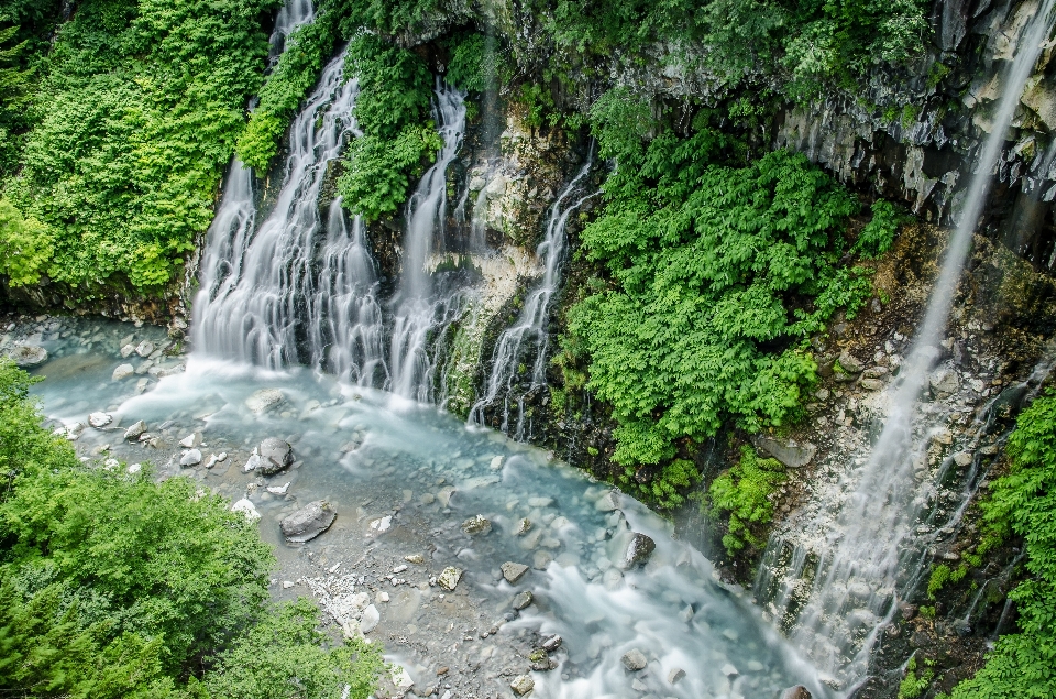 Paisaje agua bosque cascada