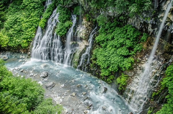 Landscape water forest waterfall Photo