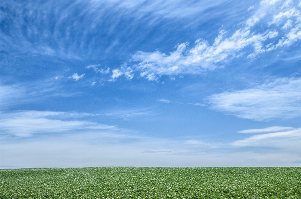 Landscape grass horizon cloud Photo