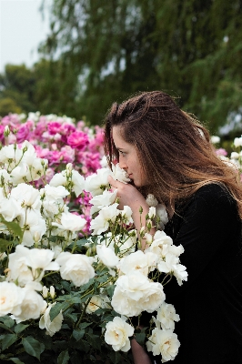 Nature path blossom person Photo