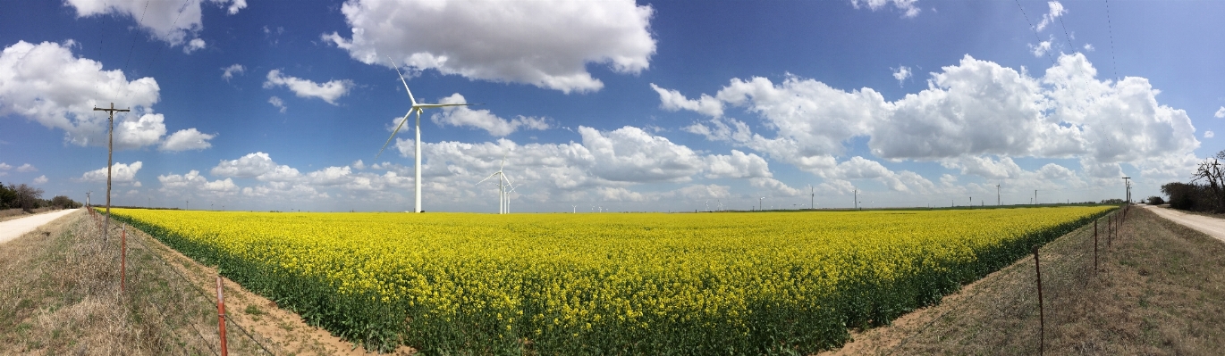 Landscape nature outdoor horizon Photo