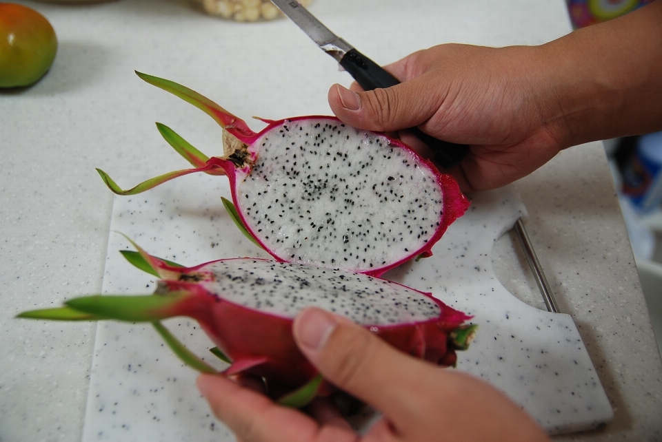 植物 花 食べ物 生産