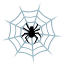 Spider web Icon