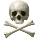 Skull Icon