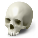 Skull Icon