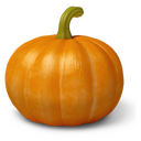 Pumpkin Icon