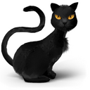 Black cat Icon