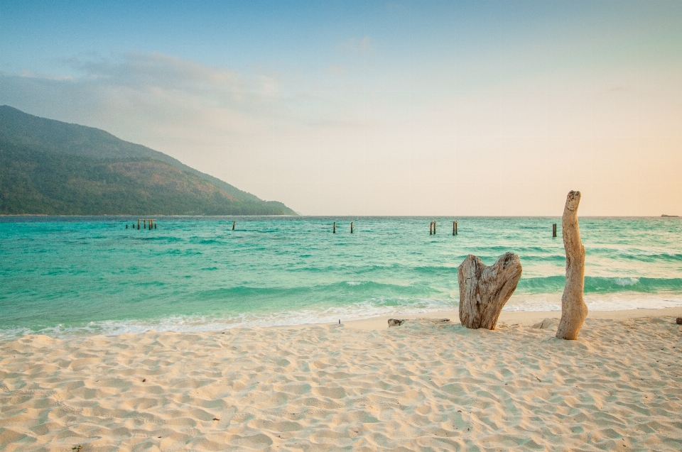 Spiaggia mare costa sabbia