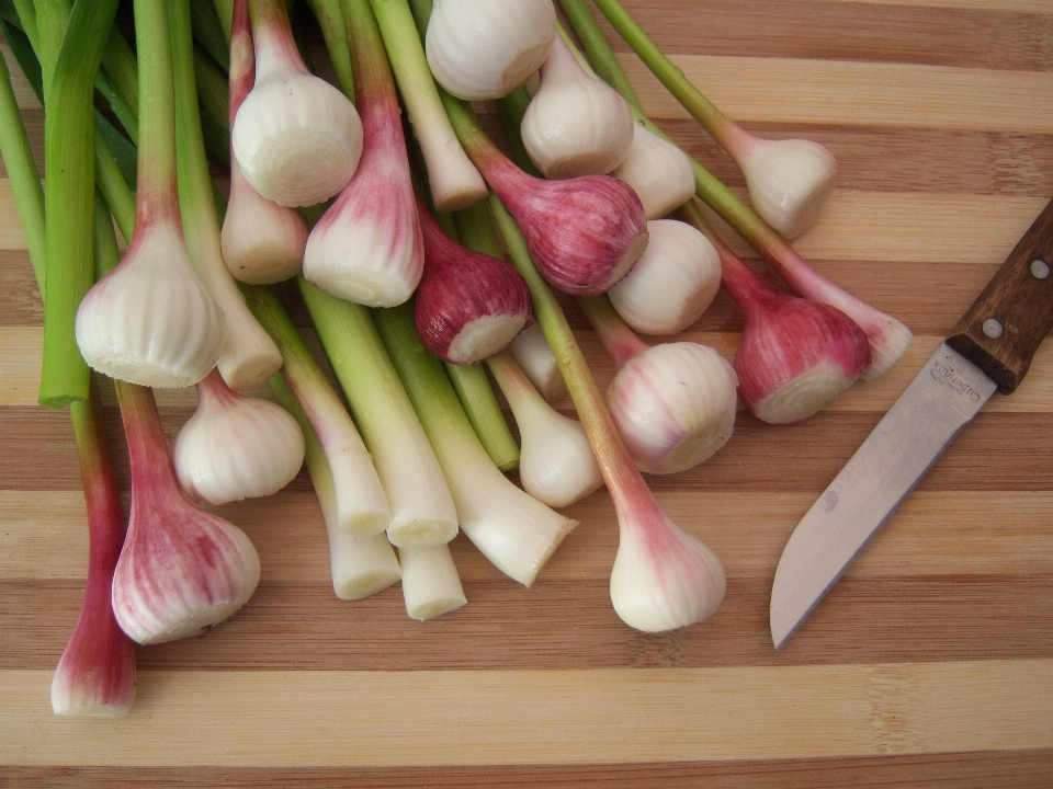 Anlage blume essen knoblauch