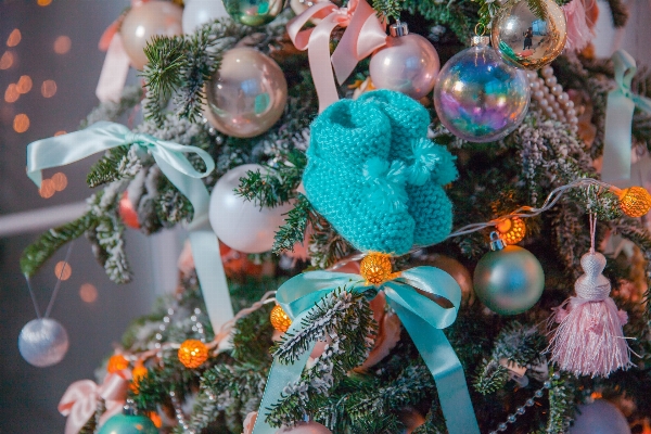 Tree branch holiday child Photo