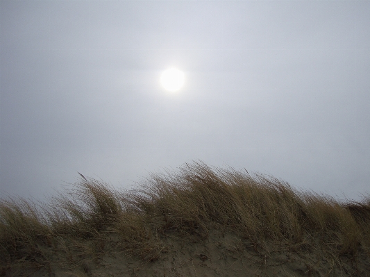 Beach sea coast nature Photo