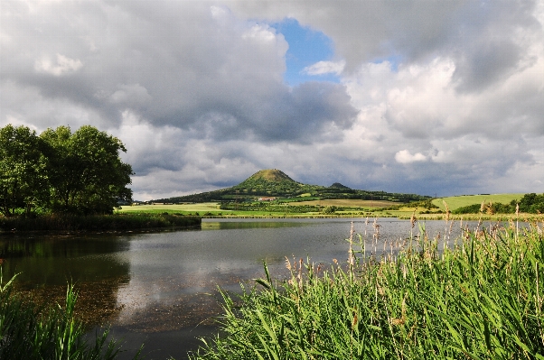 風景 木 水 自然 写真