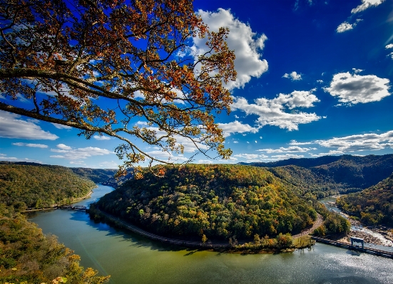 Landscape tree water nature Photo