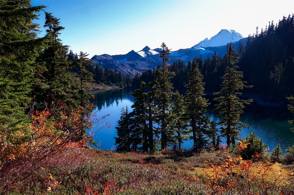 Landschaft baum natur wald Foto