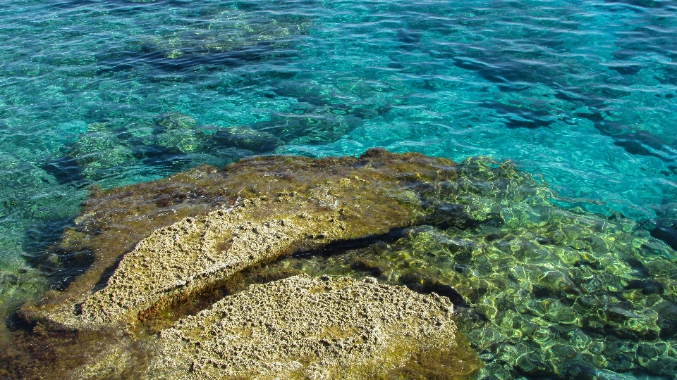 Mar agua línea costera
 claro