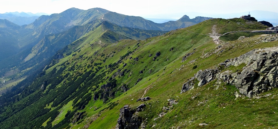 Paesaggio a piedi montagna prato
