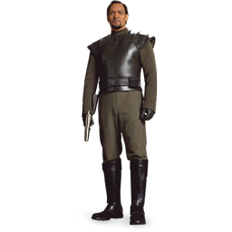 Bail organa