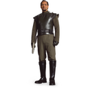 Ikona Bail organa