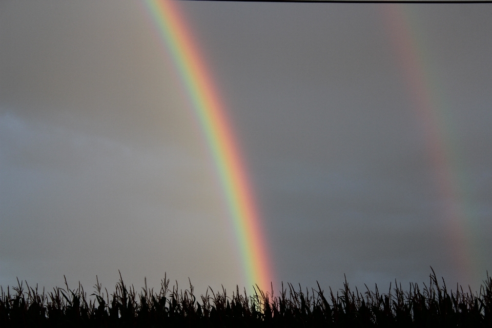 Himmel regen atmosphäre dunkel