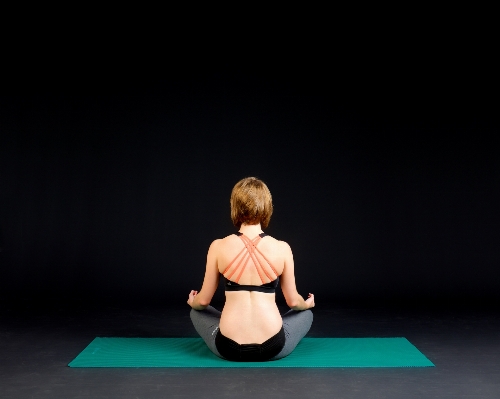 Woman female sitting exercise Photo