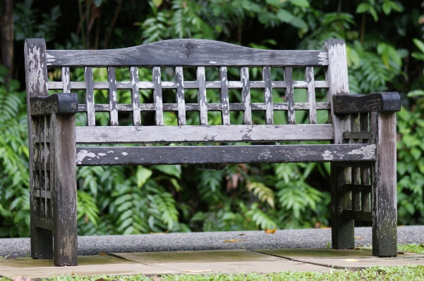 Table nature outdoor wood Photo