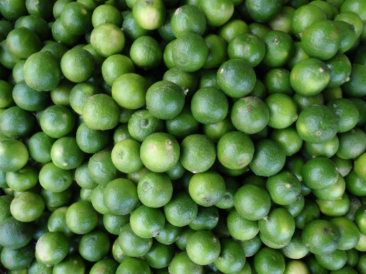 Table plant fruit meal Photo