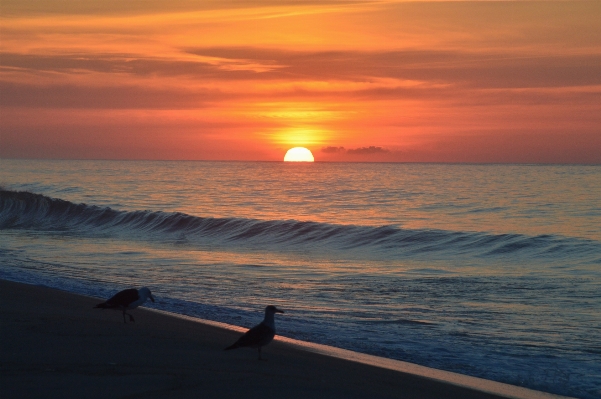 Beach sea coast sand Photo