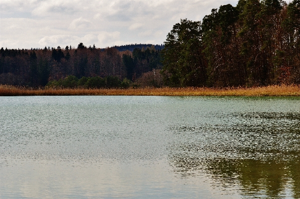 Landscape tree water nature Photo