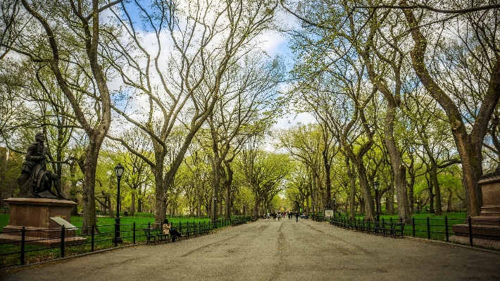 Tree architecture sky road Photo