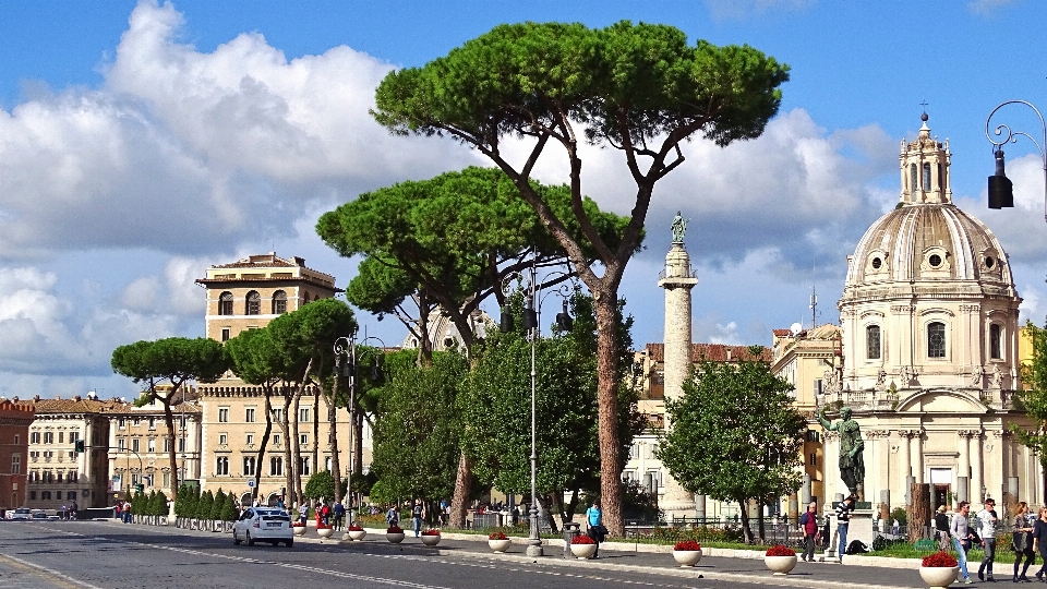 Baum die architektur straße antiquität