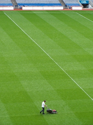 Foto Rumput struktur bidang halaman