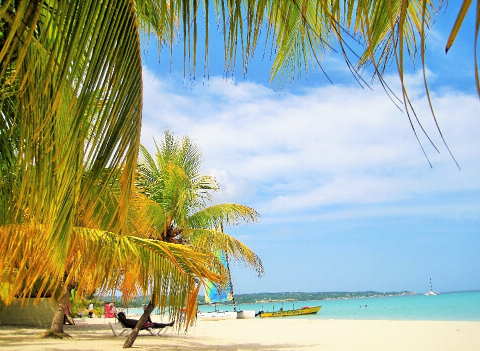 Beach landscape sea coast