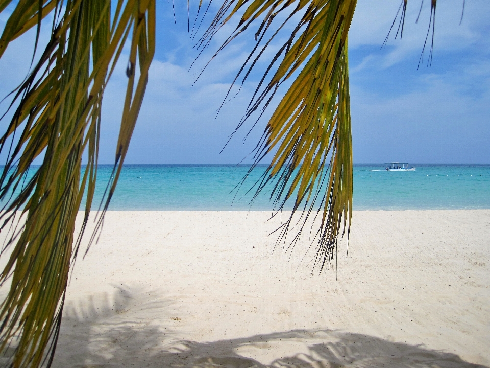 Praia paisagem mar costa