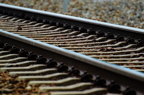 Izlemek demiryolu trafik tren Fotoğraf