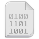 Binary Icon